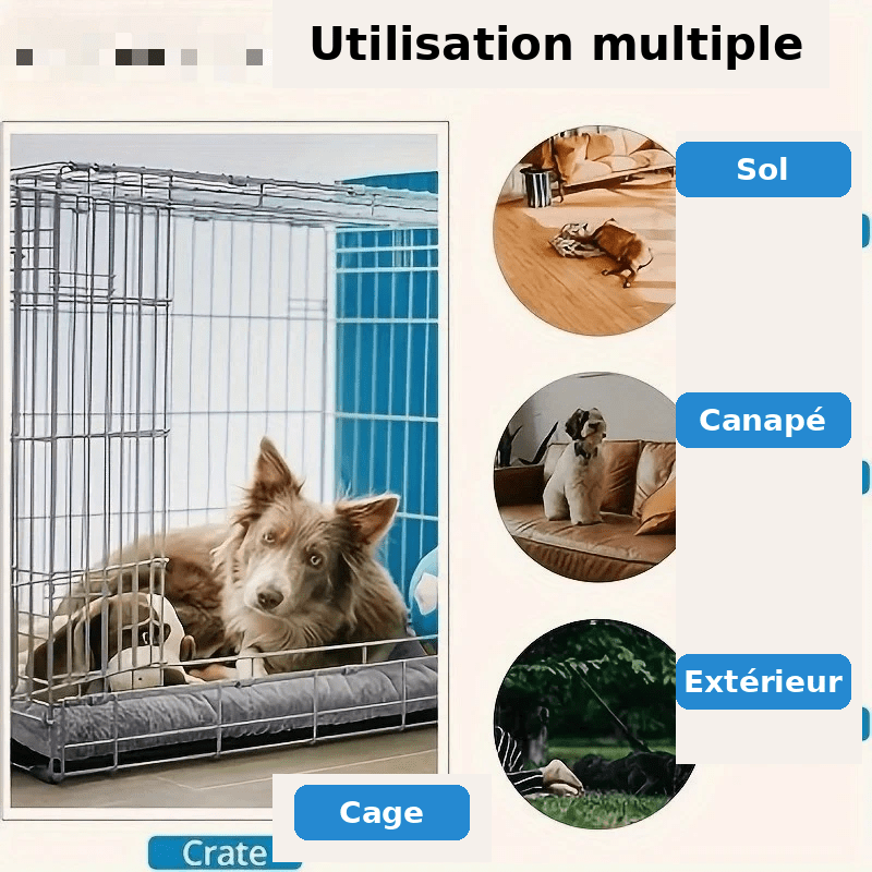 panier chien spacieux