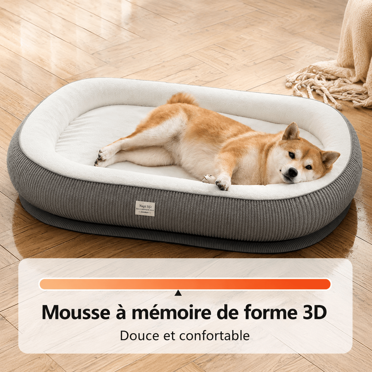 panier pour chien ergonomique