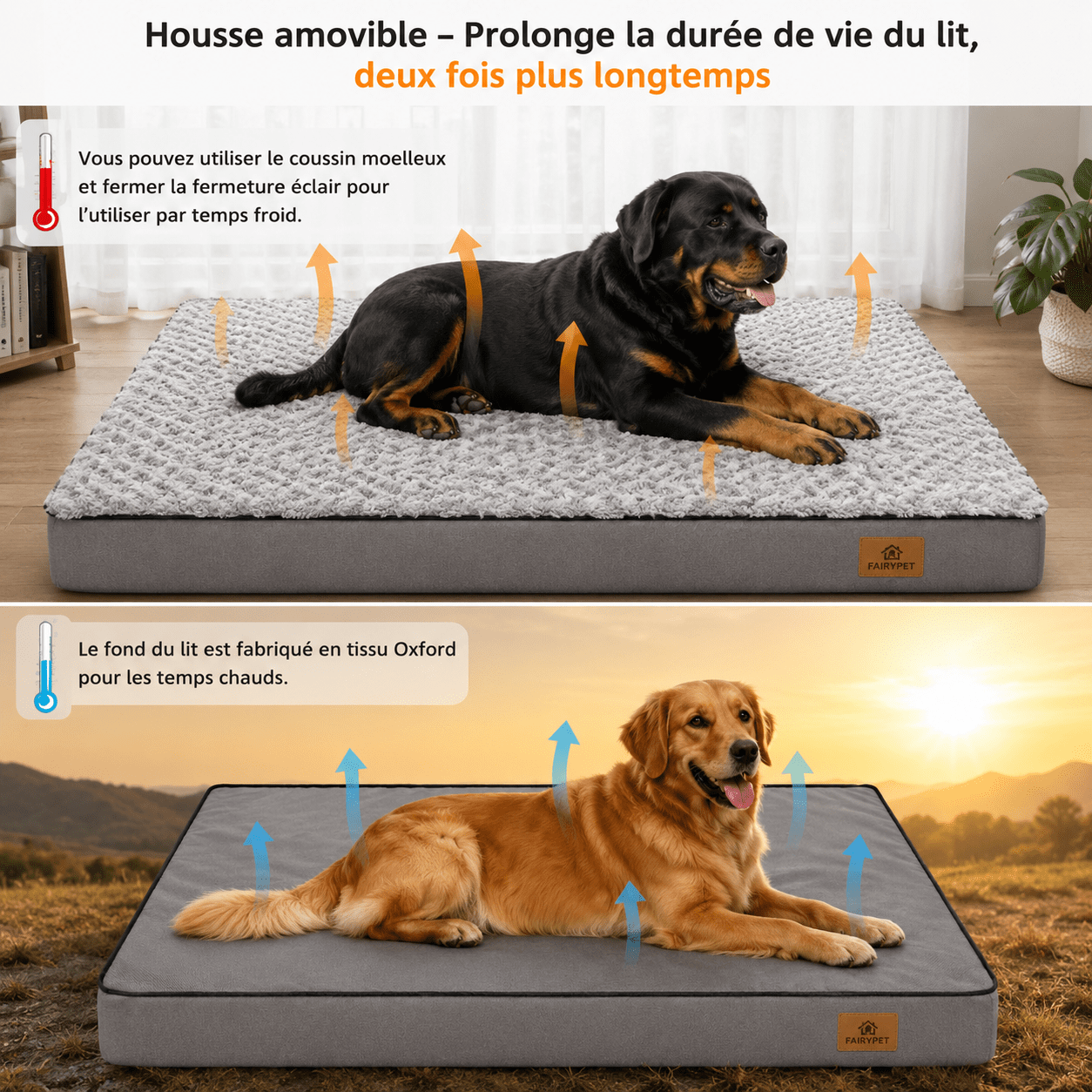 soutien orthopédique chien
