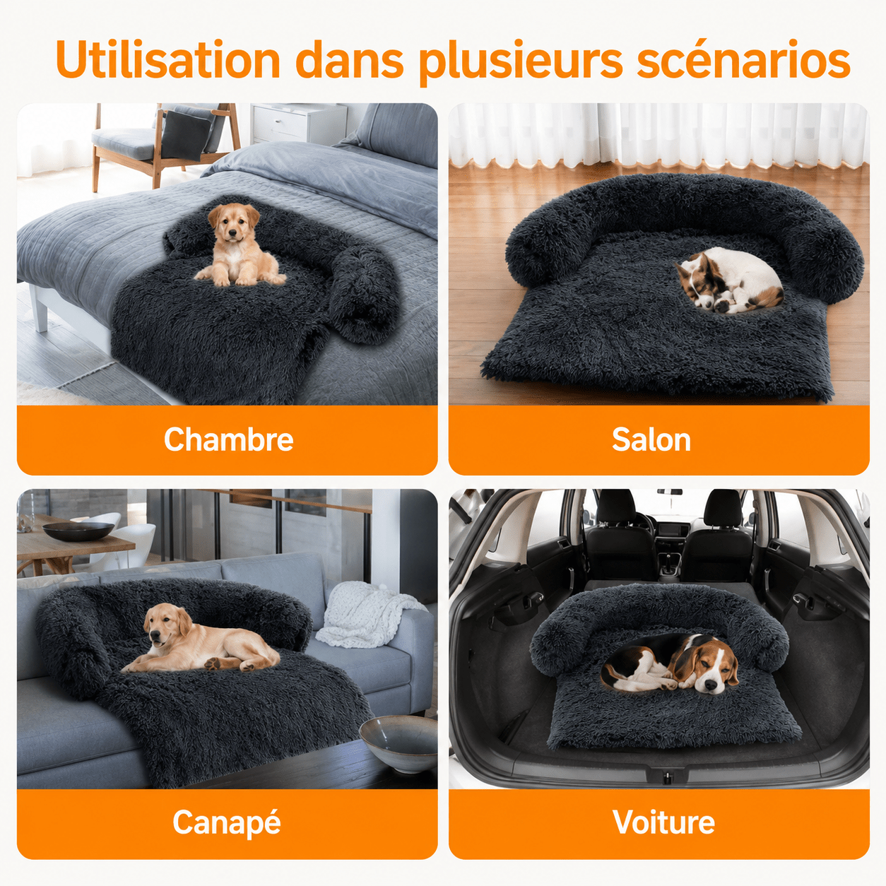 canapé confortable pour chien
