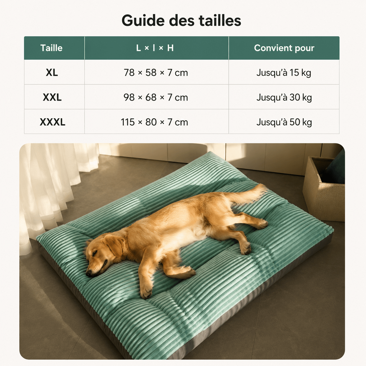 coussin confortable pour chien