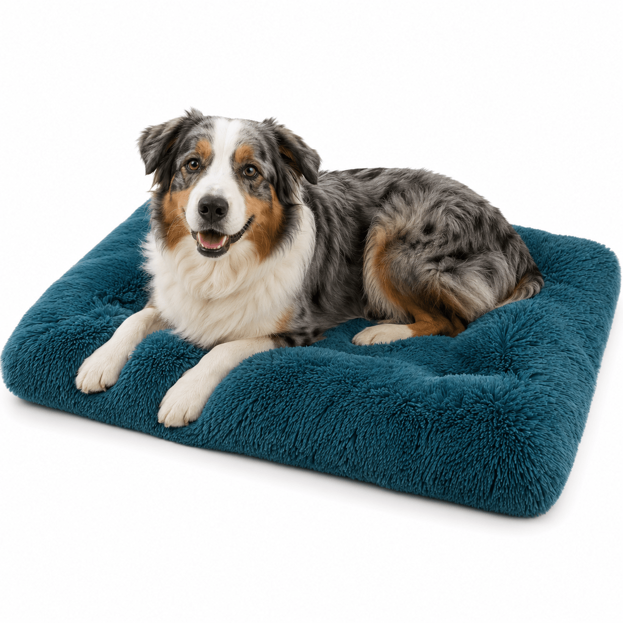 coussin panier plastique chien