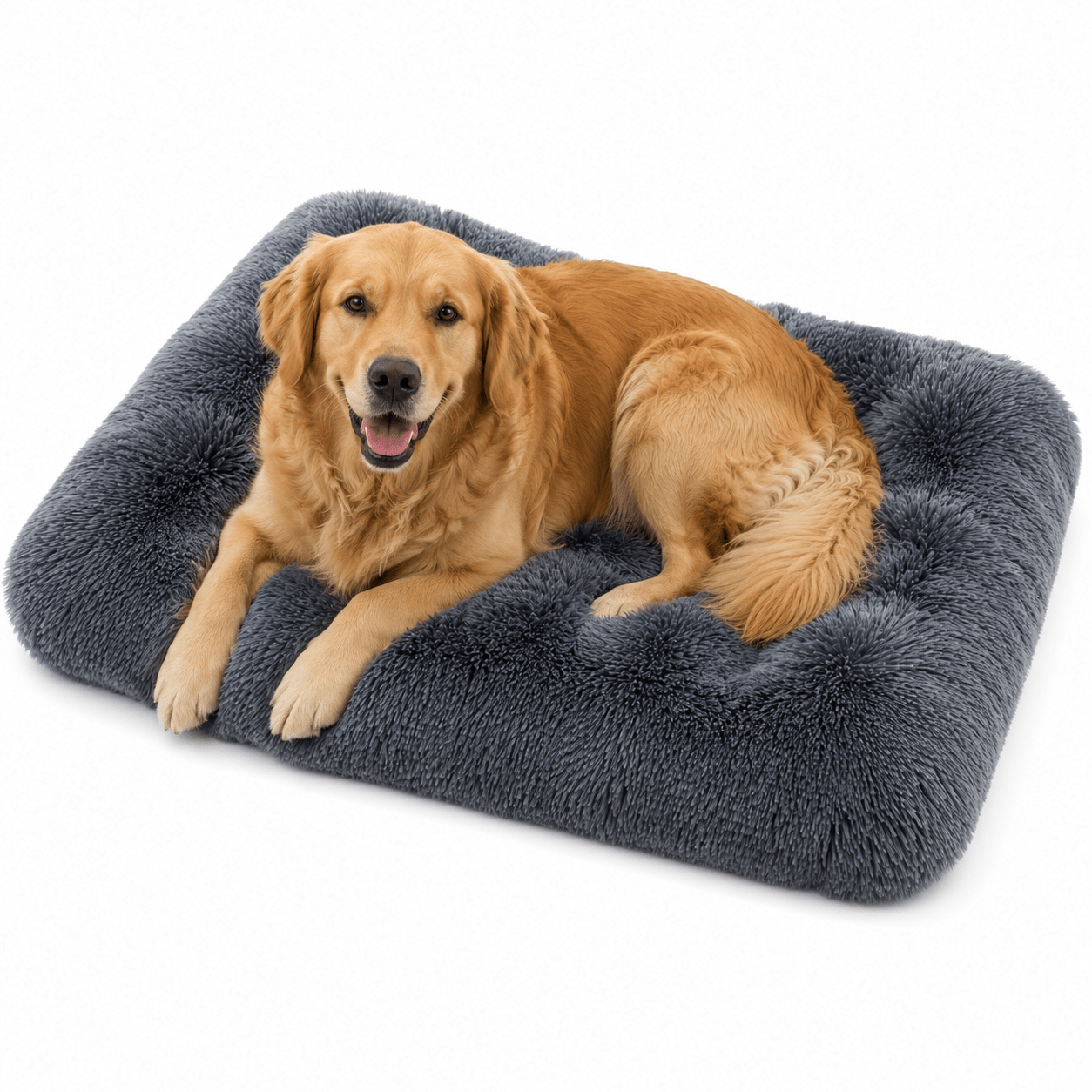 coussin ergonomique pour chien