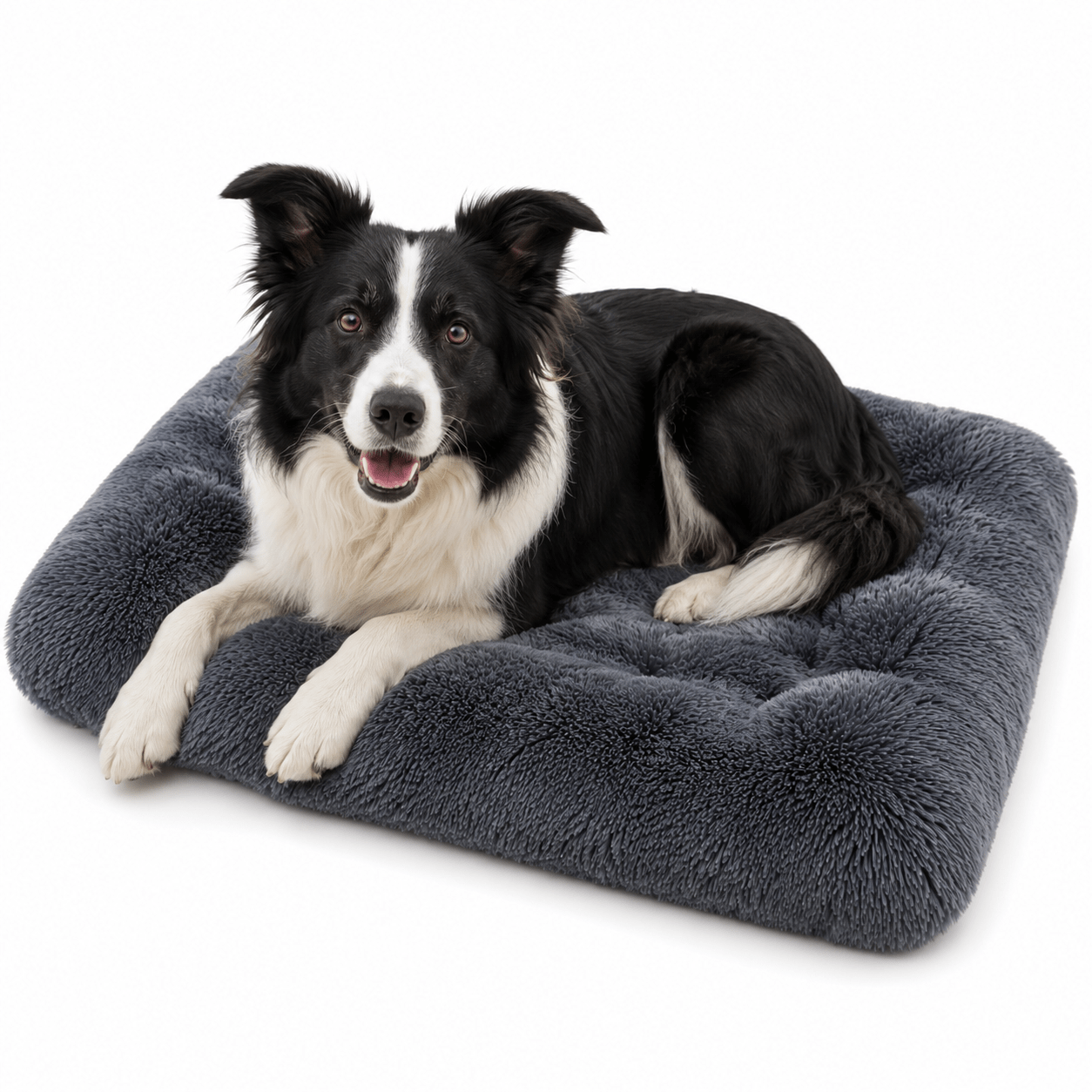 coussin de confort chien