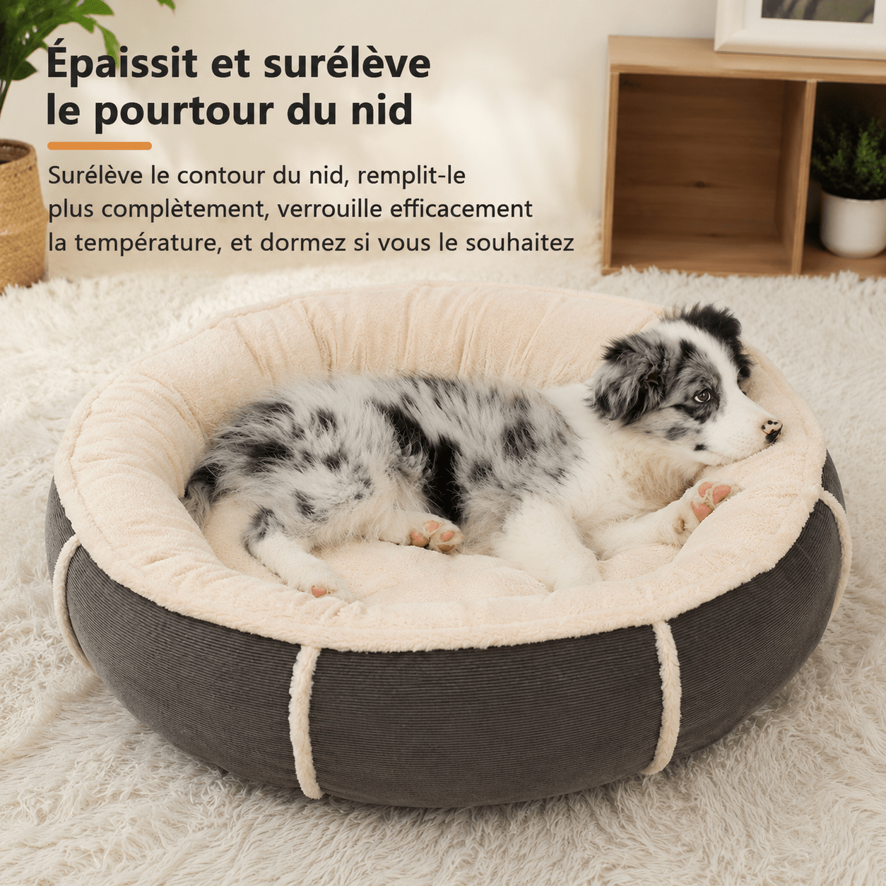 panier chien tissu