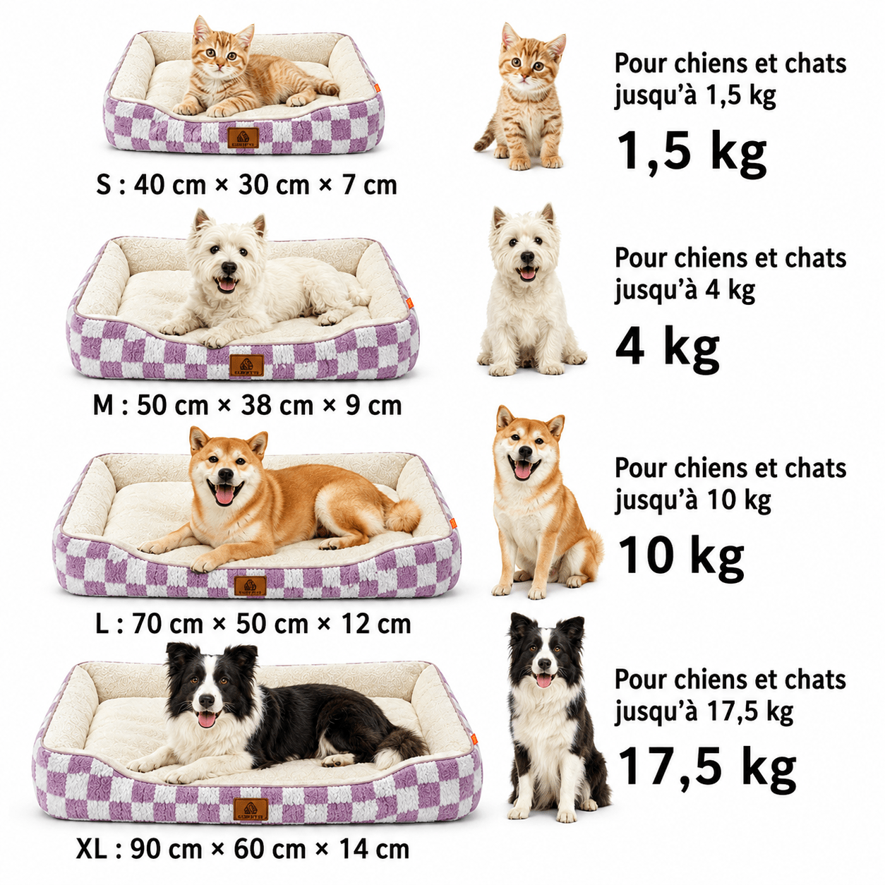 panier design pour chien