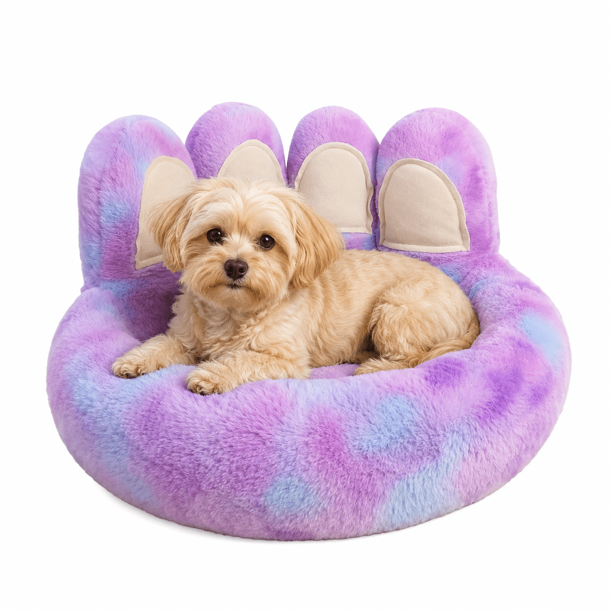 panier design grand chien