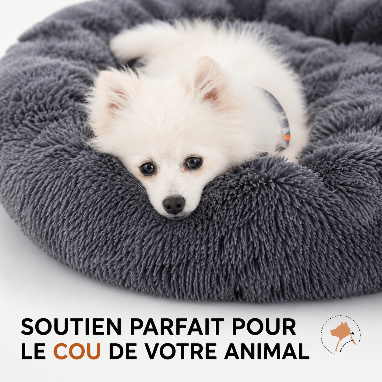 espace repos chien design marron