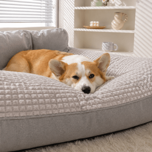 panier pour chien xxl déhoussable en salon