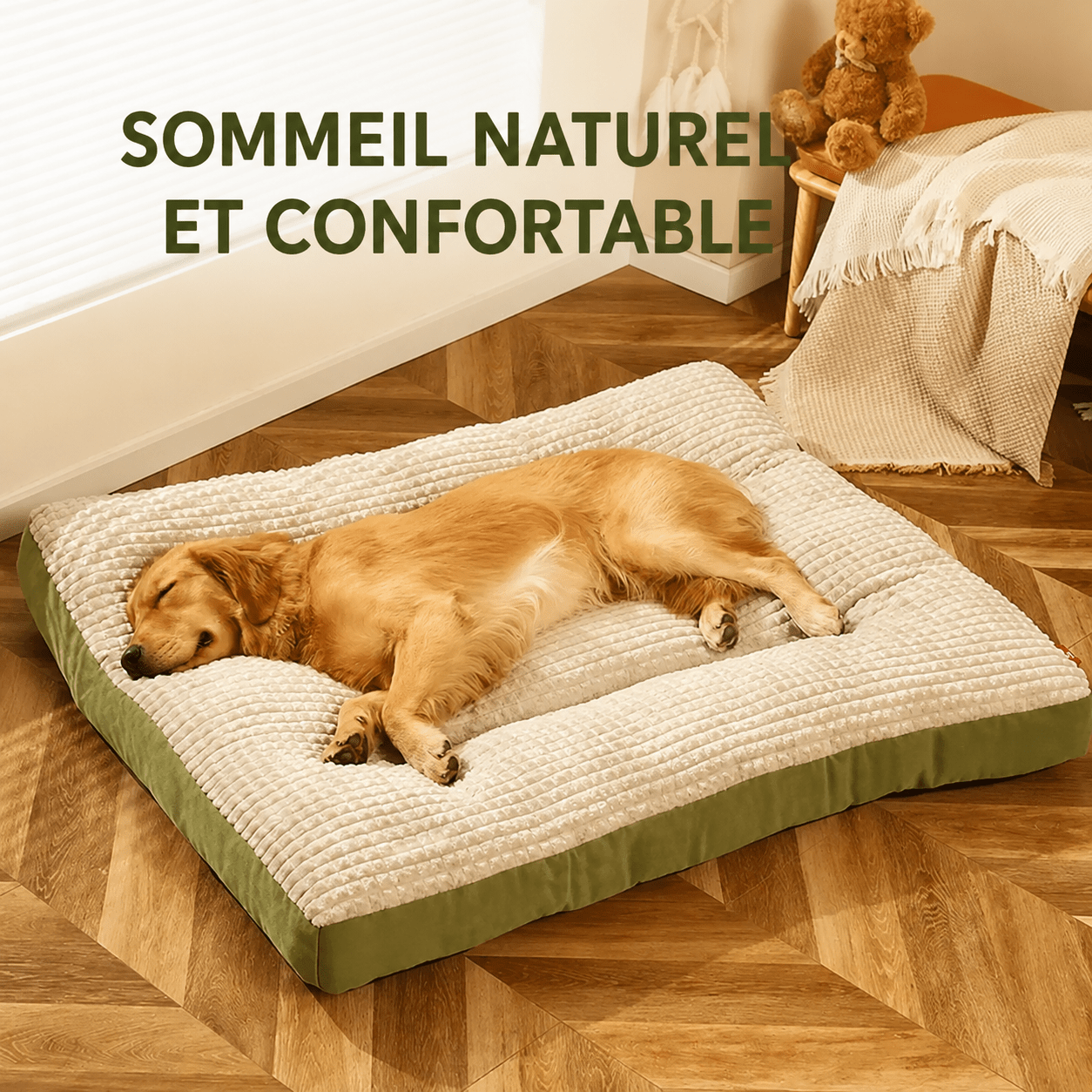 panier pour chien durable