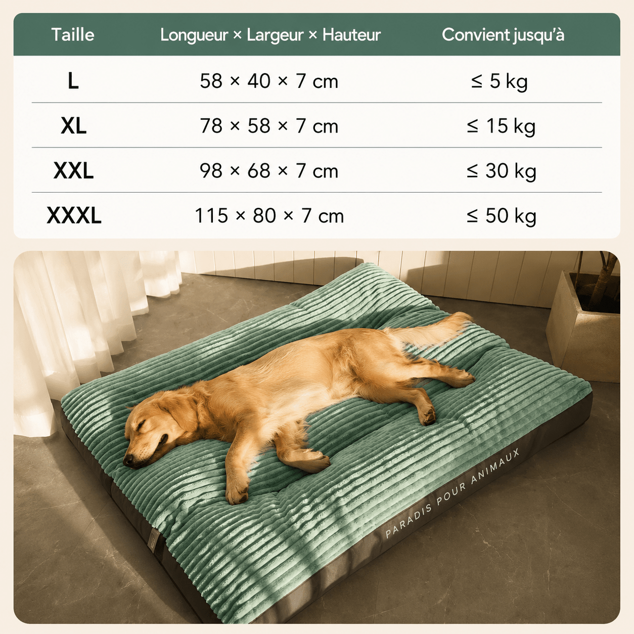 espace repos pour chien