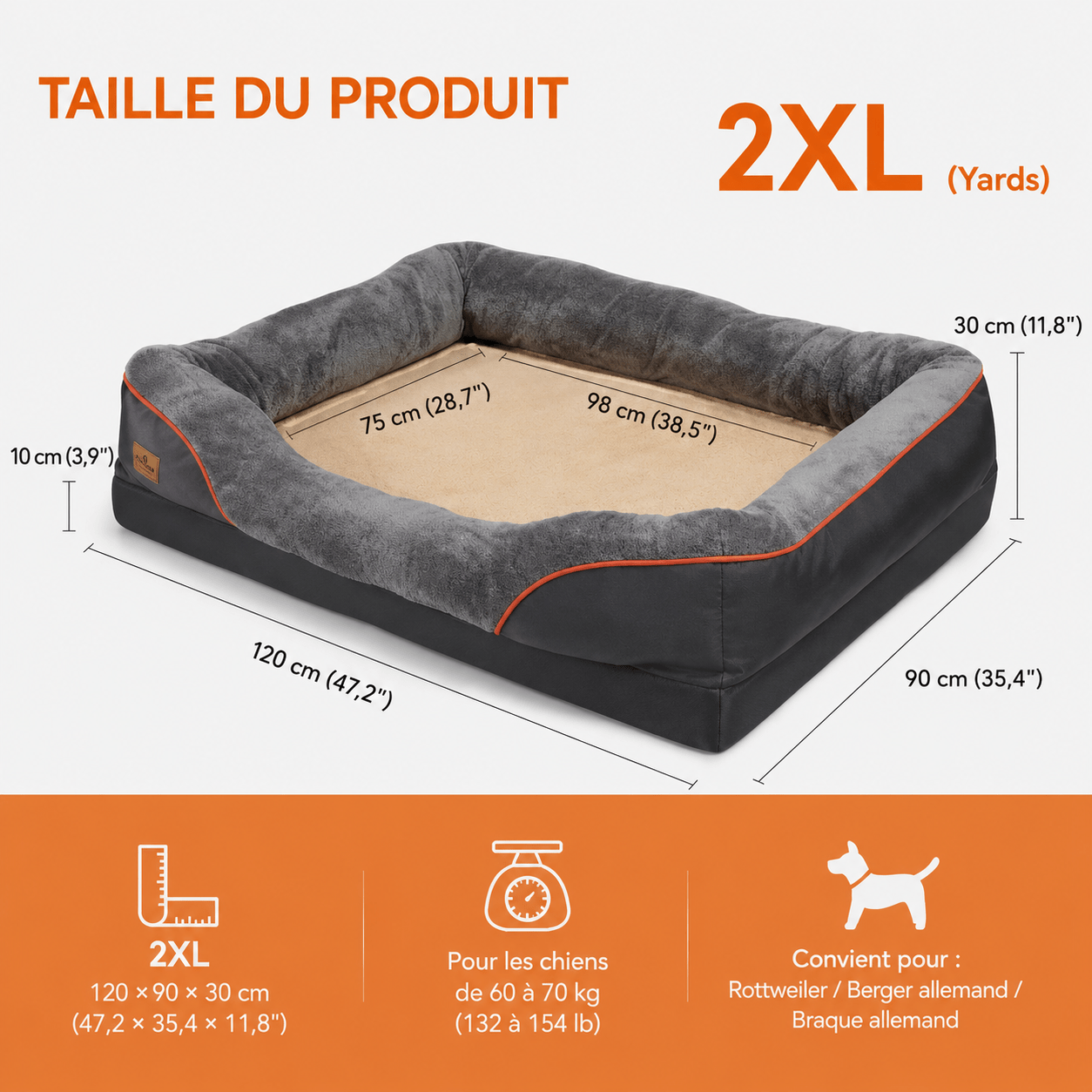 soutien orthopédique pour chien