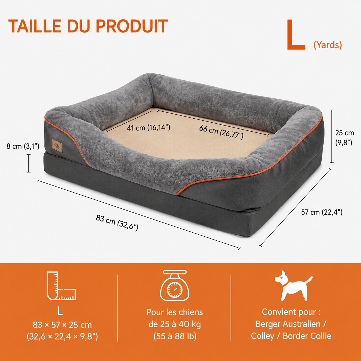 bien-être chien avec panier
