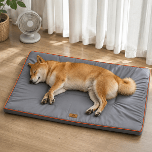 panier pour chien robuste