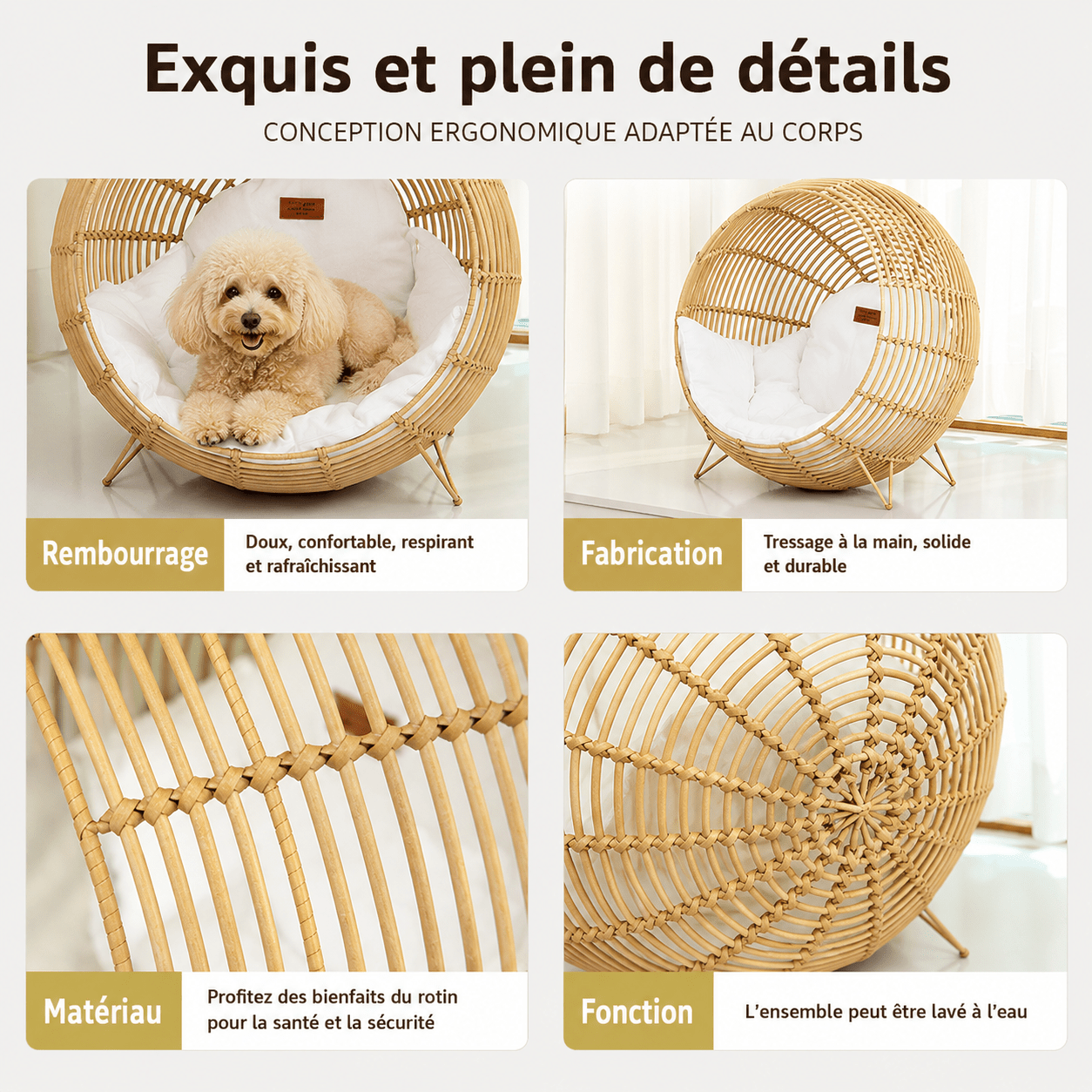 design panier chien
