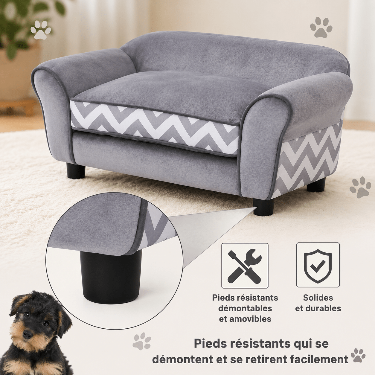 design élégant pour chien