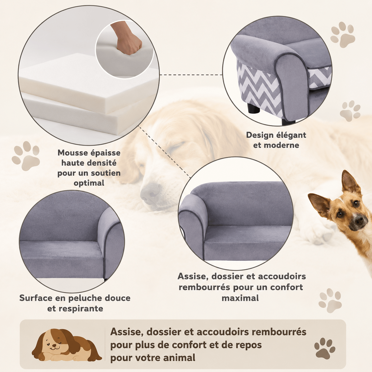 espace confortable pour chien