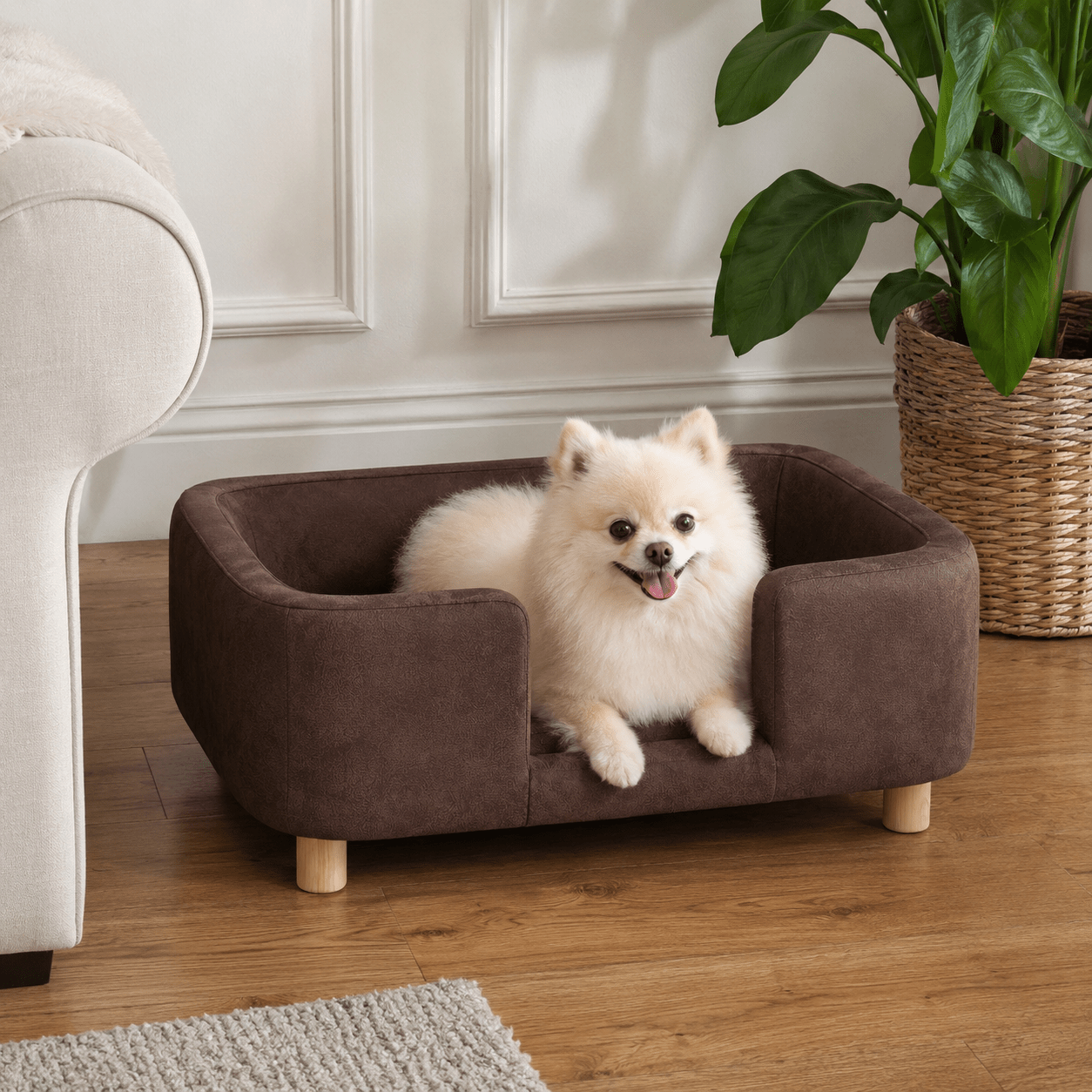 panier chien façon canapé élégant