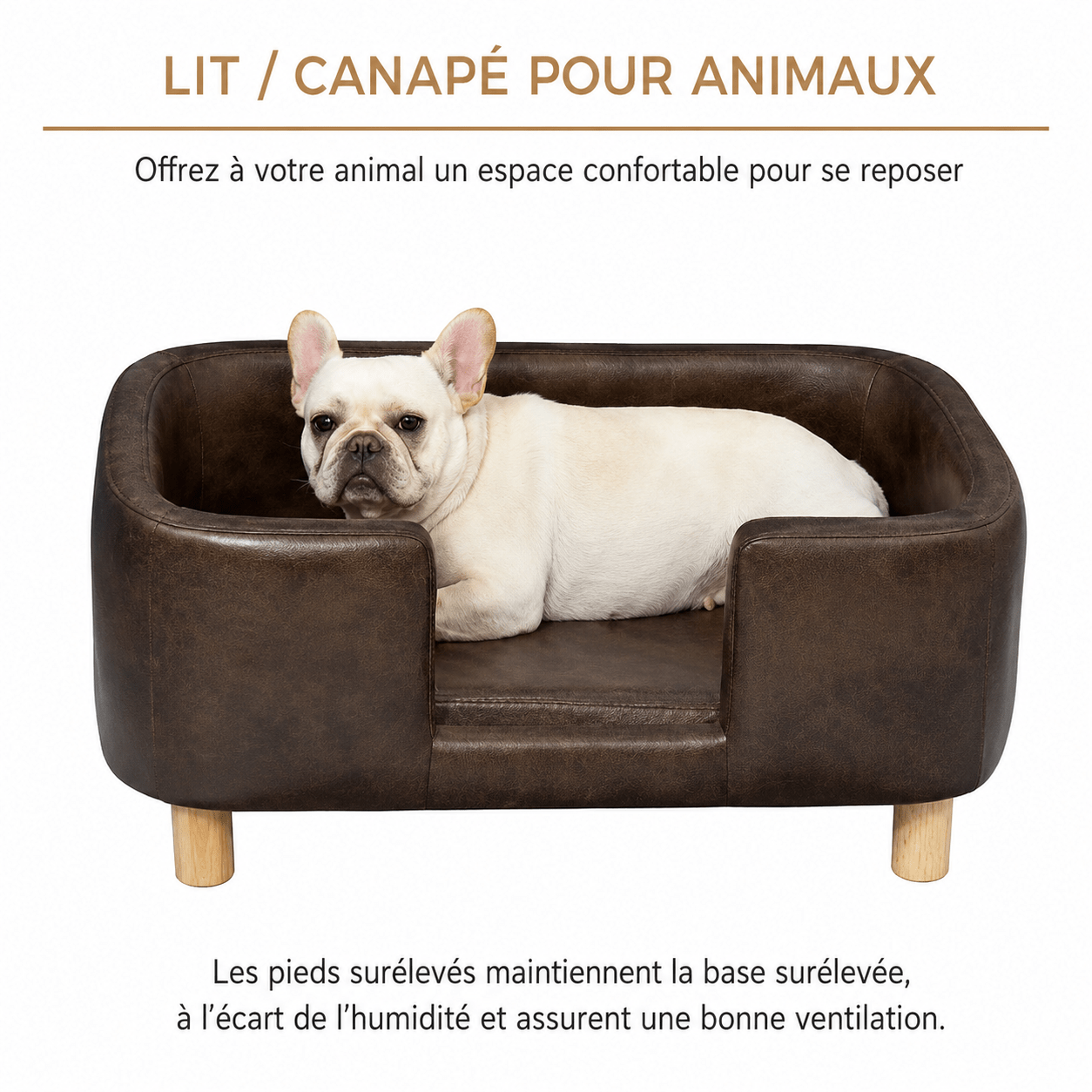 design panier canapé chien