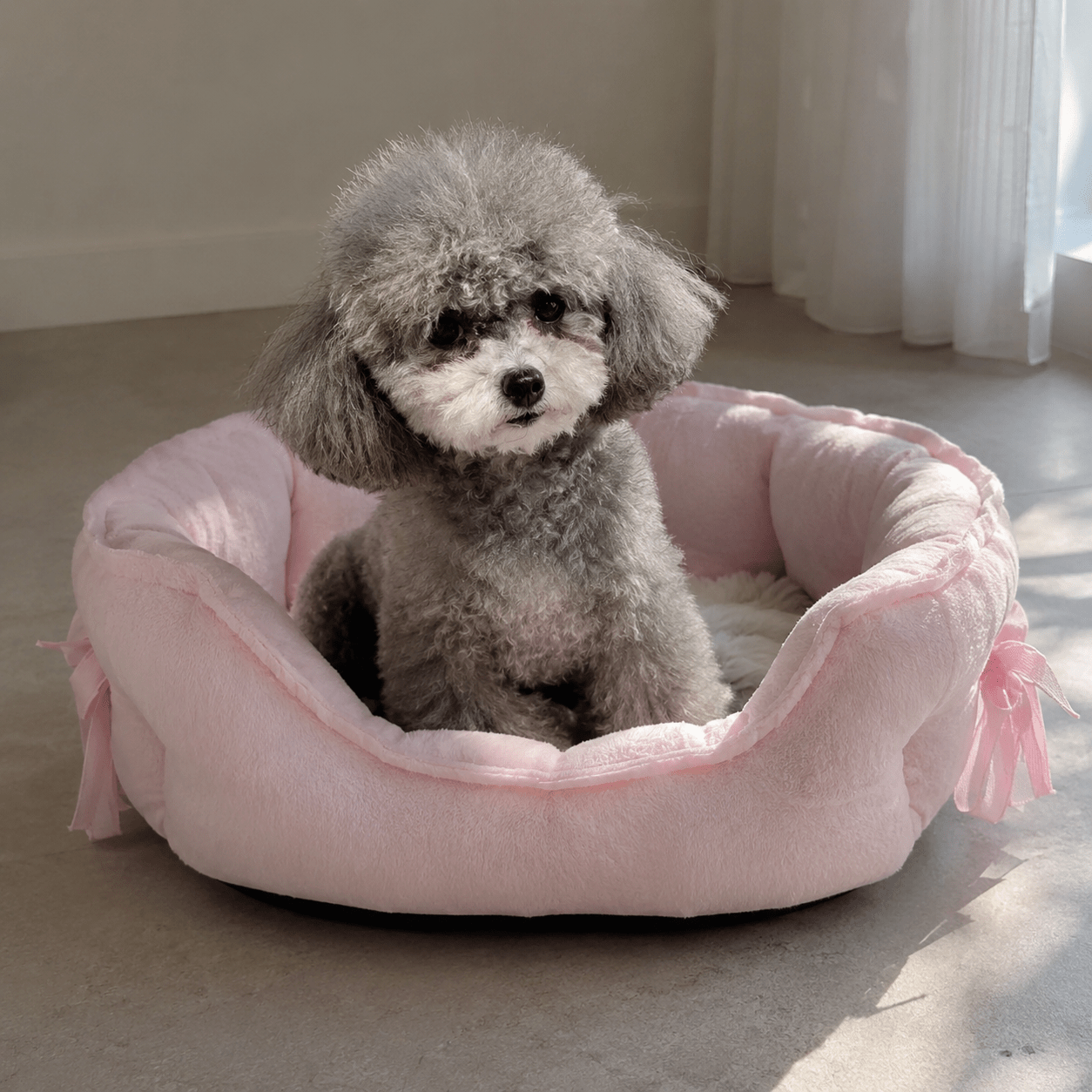 panier chien design vintage