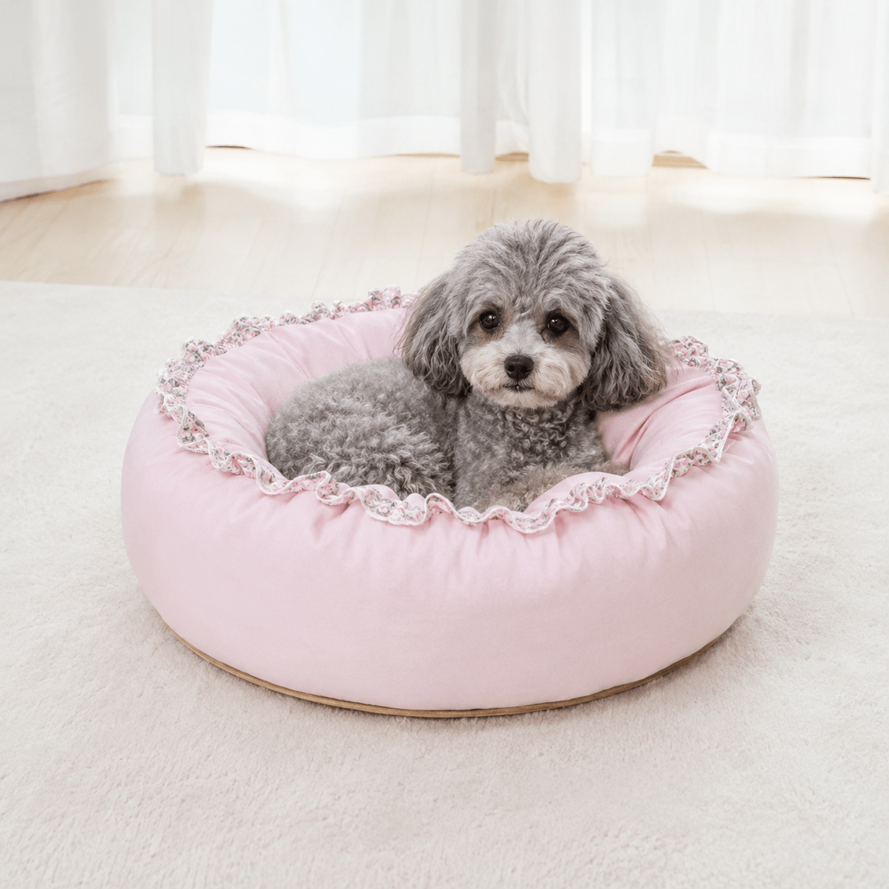 Panier chien original design