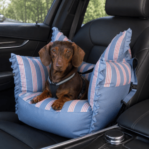 panier de transport petit chien