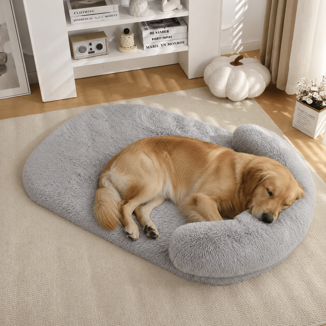 panier et coussin pour grand chien