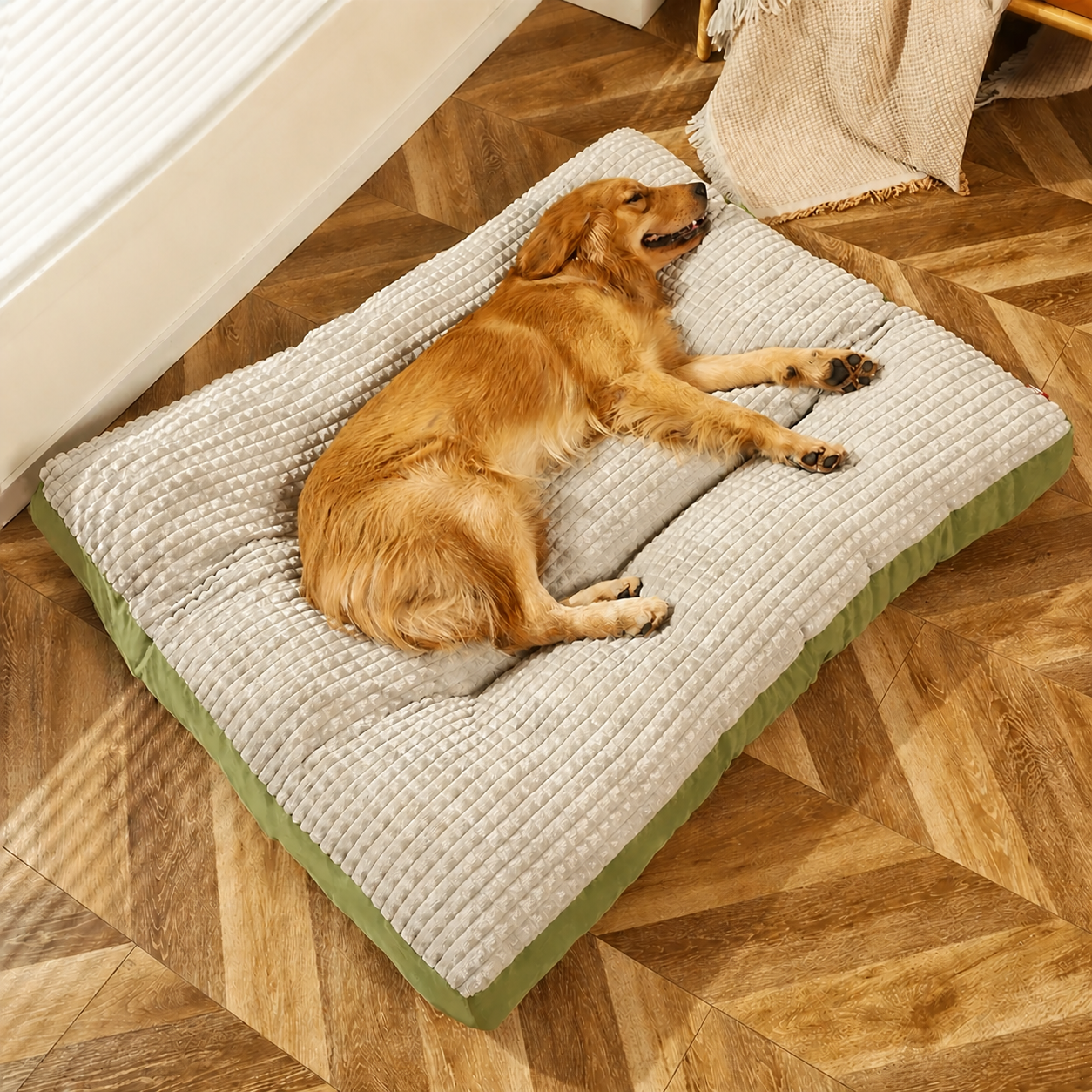 panier chien confort