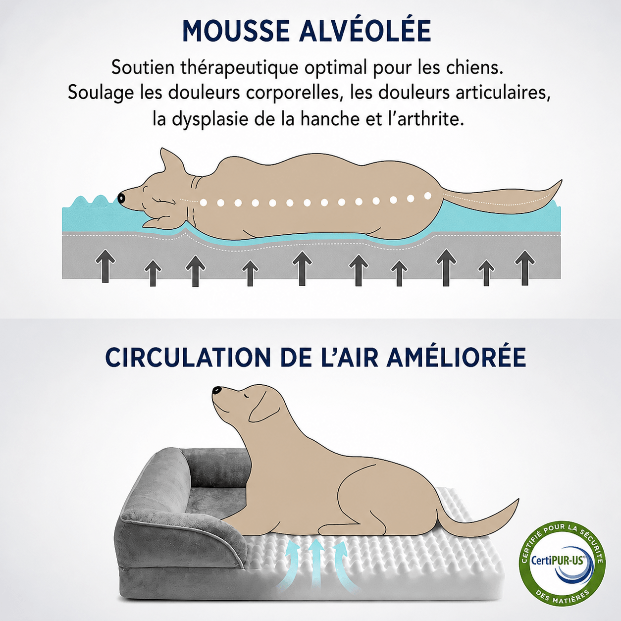panier résistant pour chien