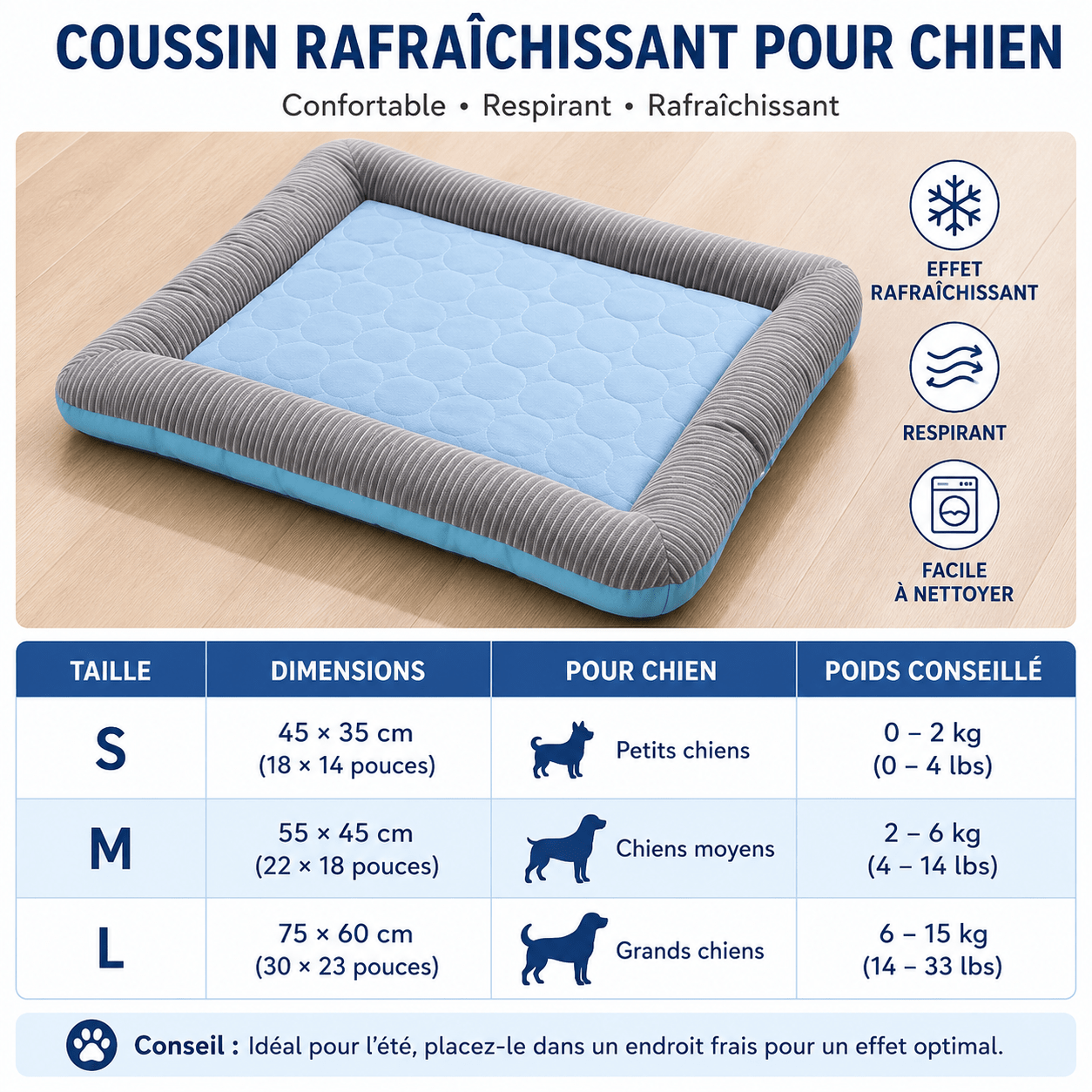 chic et confort pour chien