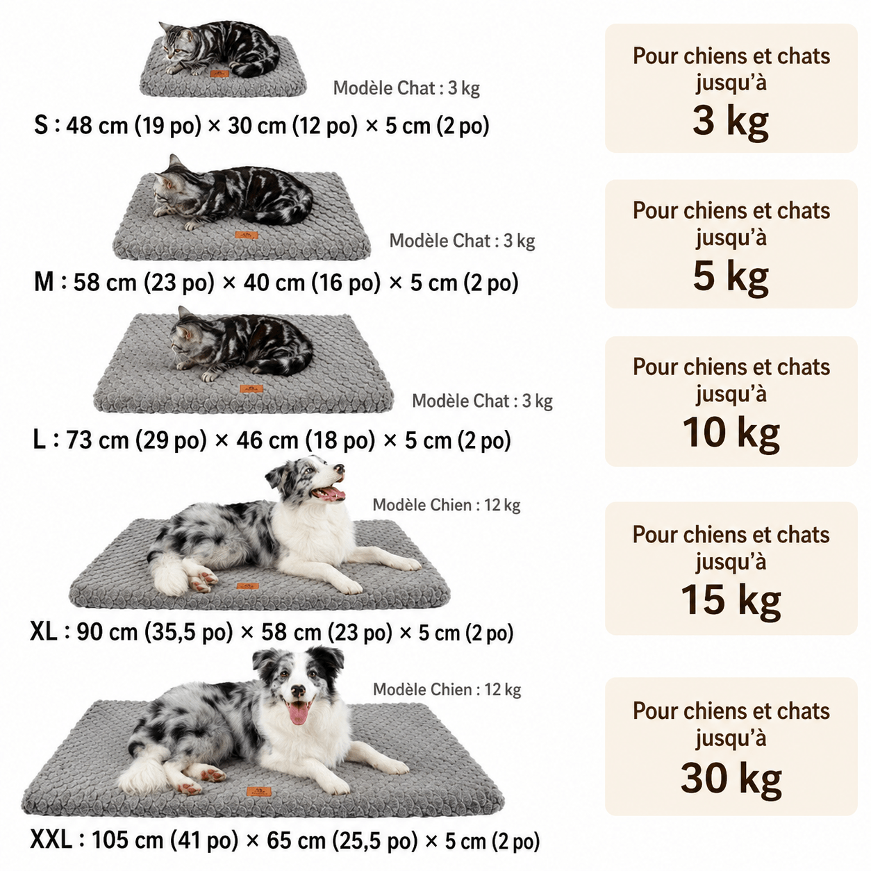 lit chien moderne rose