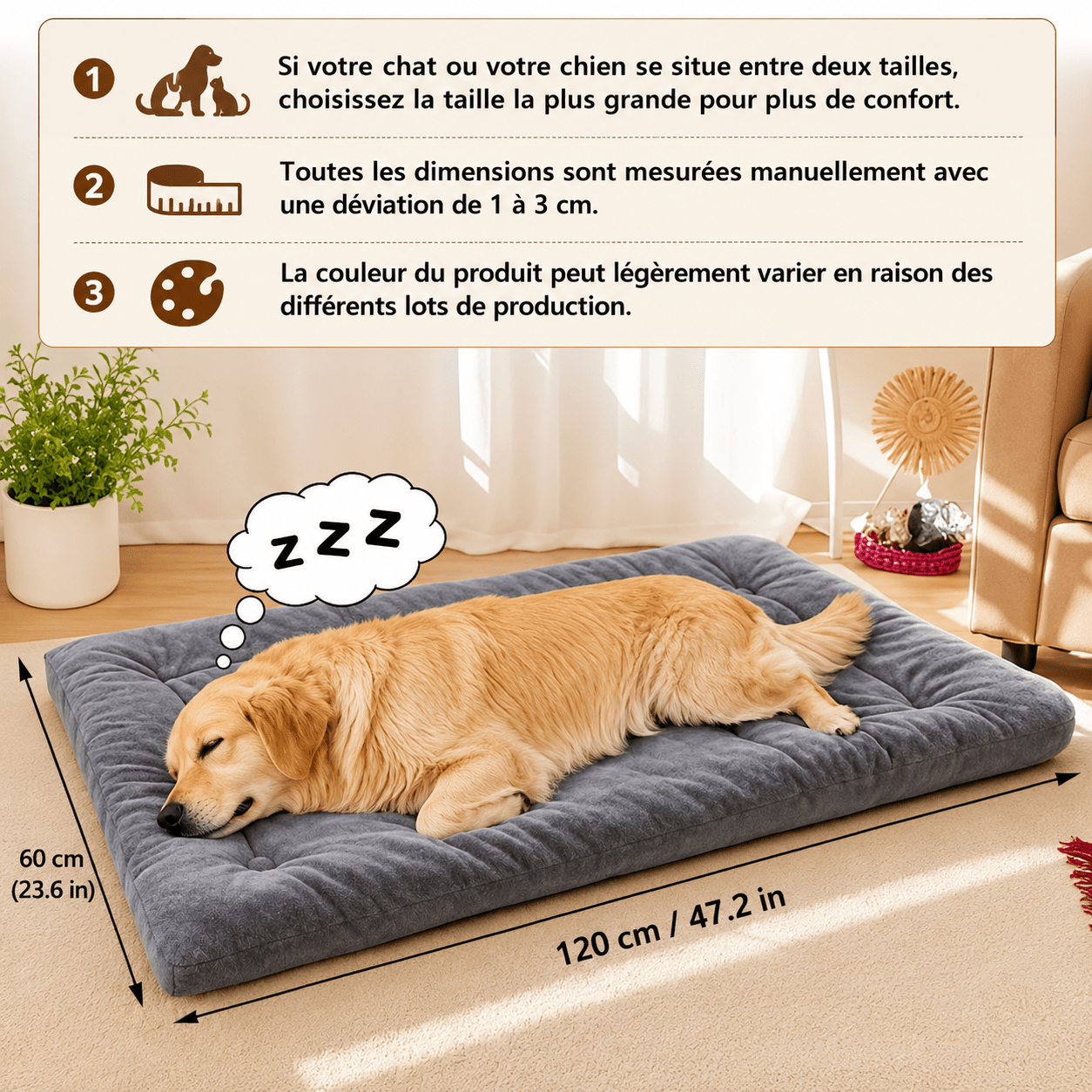espace de repos chien xxl