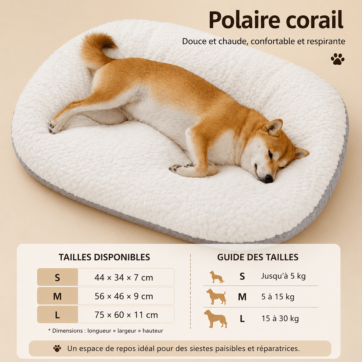 design moderne dehoussable pour chien