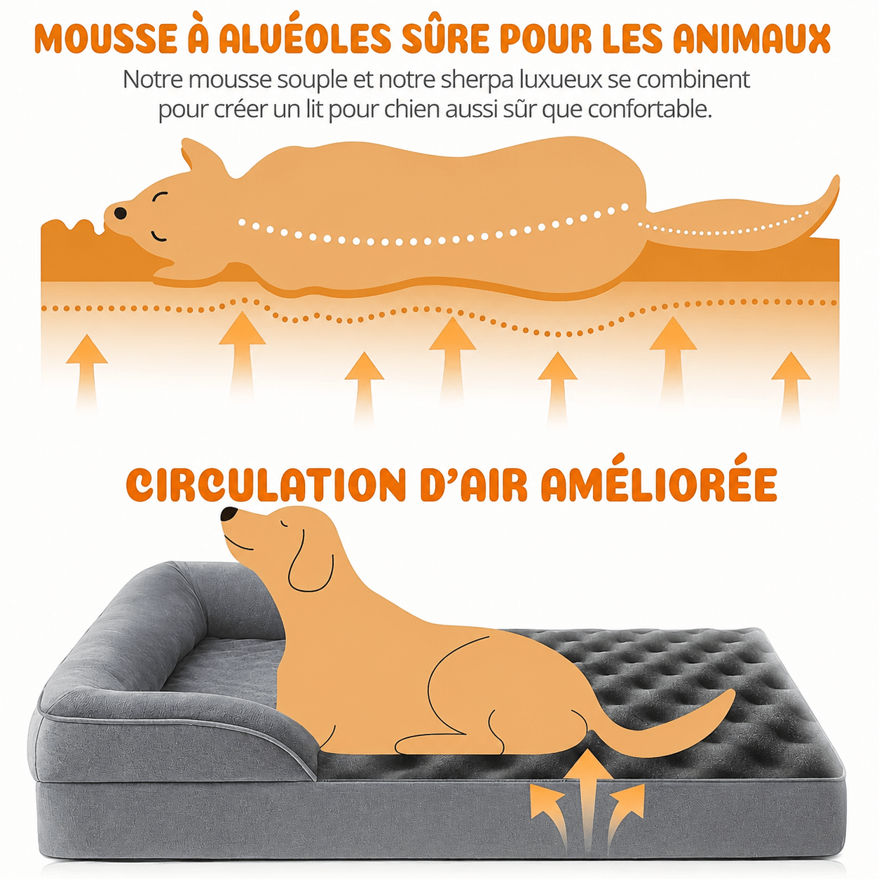 design panier chien