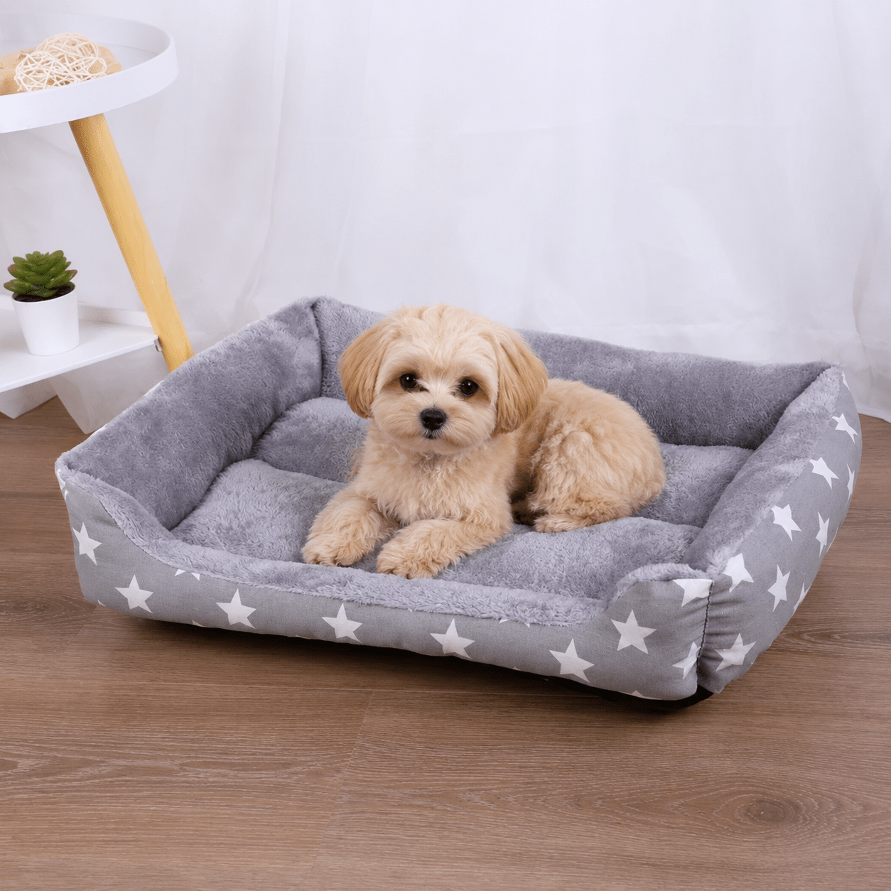 panier petit chien grand confort