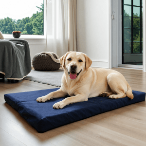panier pour chien confortable