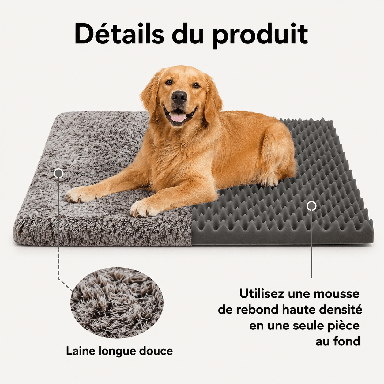 surface de sommeil chien
