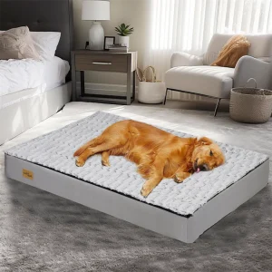 matelas orthopédique chien