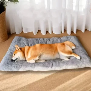 panier pour chien confortable XXL