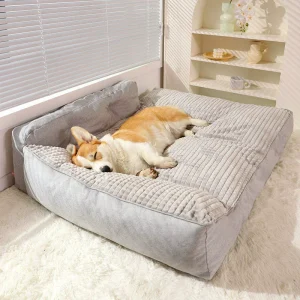 panier pour chien