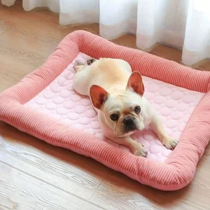 panier anti stress pour grand chien