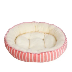 panier pour chien