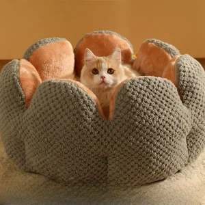 couchage panier chien chat