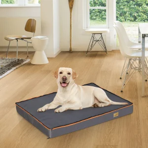panier orthopédique chien xxl