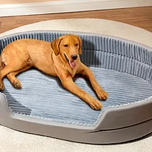 panier pour chien durable