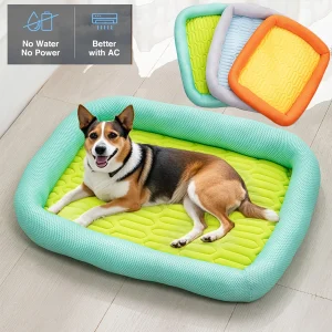 panier plastique chien