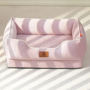 panier chien design
