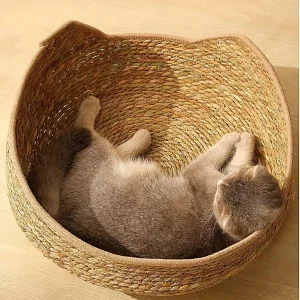 panier osier chat chien
