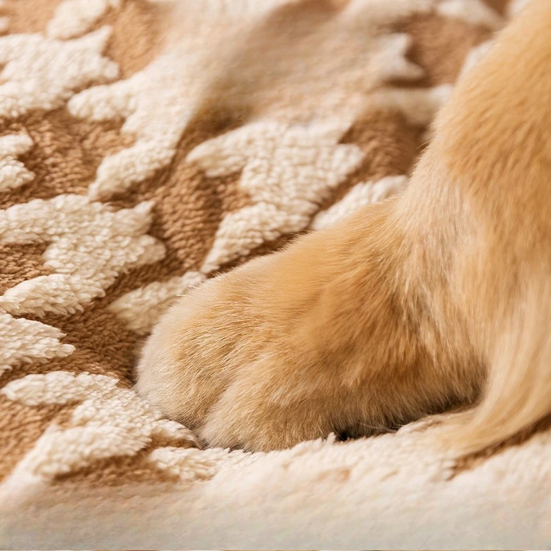 élégant panier chien