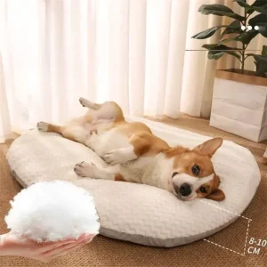 coussin panier chien déhoussable